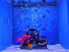 -海合安青岛极地海洋公园