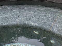 -丰泰花园酒店热矿泉