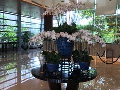 -深圳观澜格兰云天国际酒店