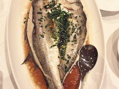 -醉辉皇原味海鲜江南菜(成都大魔方店)