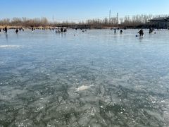 -马家湾湿地公园