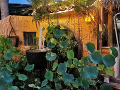 -园林美食城·本土农家菜(杨和镇店)