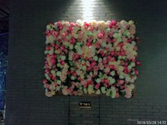 -尚橙歌坊主题式KTV(恒大商业广场店)