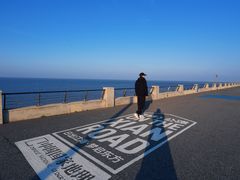 -吕四渔港