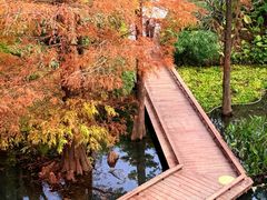 -云溪植物园