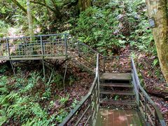 -云南屏边大围山国家公园