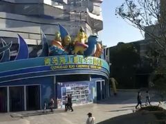 -青岛嘉年华主题乐园