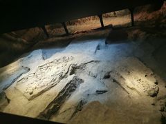 -侵华日军南京大屠杀遇难同胞纪念馆-停车场
