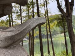-贡湖湾湿地公园