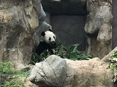 -香港海洋公园