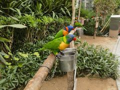 -南宫五洲植物乐园