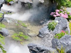 -深圳仙湖植物园