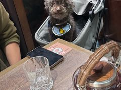 -蘑界·野生菌火锅(深业上城店)