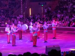 -俄罗斯国家大马戏团