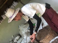 -大象粑粑造纸公园