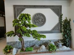 -呼吸森林·生态农庄农家乐私房菜