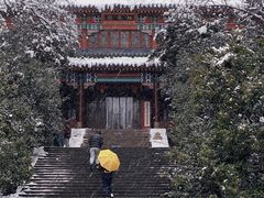 -灵谷景区