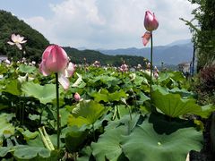 -周洛大峡谷