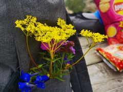 -白草畔自然风景区