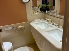 -芜湖白金汉爵大酒店