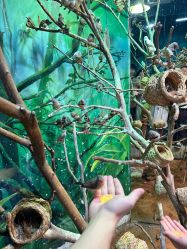 -Zoolung Zoolung动物主题公园(海信广场店)