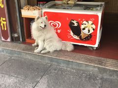 -蒋氏故居