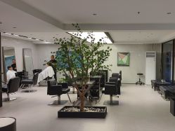 点击看大图 -付军剪艺JF ProSalon