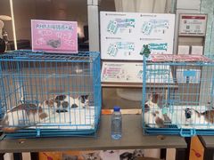 -家饰佳(宜山路店)