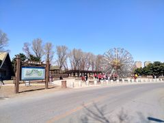 -蒲河岛湿地公园