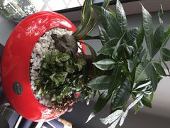 驭力搏击健身工作室-驭力搏击健身(张江高科店)