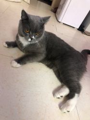 -Pink You美甲美睫纹绣定制中心