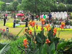 -牛岗山公园