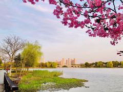 -高子水居