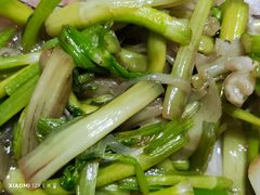 -阿巧一号私房菜(止园路店)