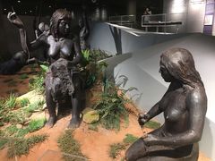 -北京周口店北京人遗址博物馆