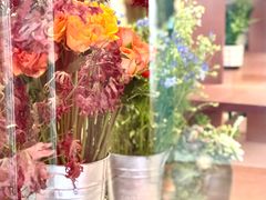 -二酉书店TOYOU BOOKS