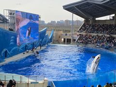 -上海海昌海洋公园