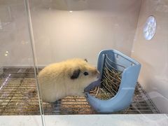 -丽达购物中心(崂山店)