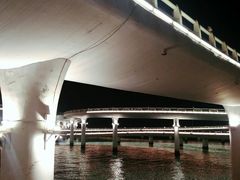 -演武大桥观景平台