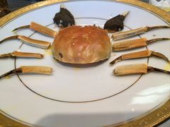 -新光酒家·河豚·海鲜·蟹料理(浦东店)