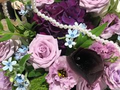 -植物学家的女儿(北马道巷店)