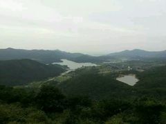 -大姆山草场