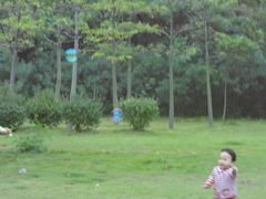 -野狸岛