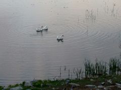 -北京天湖会议中心