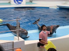 -鹿儿岛水族馆