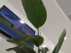 -中国建设银行(上海外冈支行)