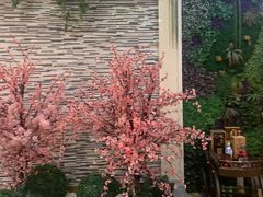 -盛世桃源(群力店)