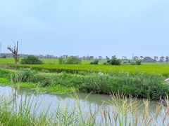 -嘉北郊野公园