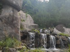 -大围山国家森林公园