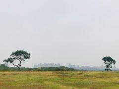 -盘龙城国家考古遗址公园